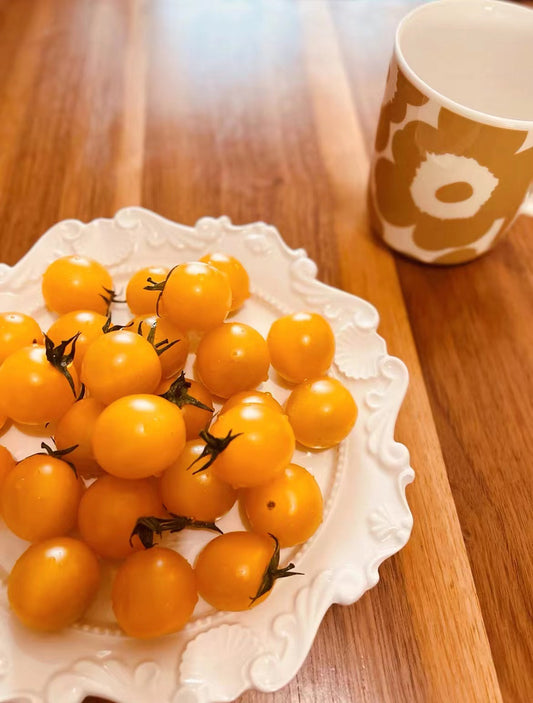 Studio M' and Sobokai Plate