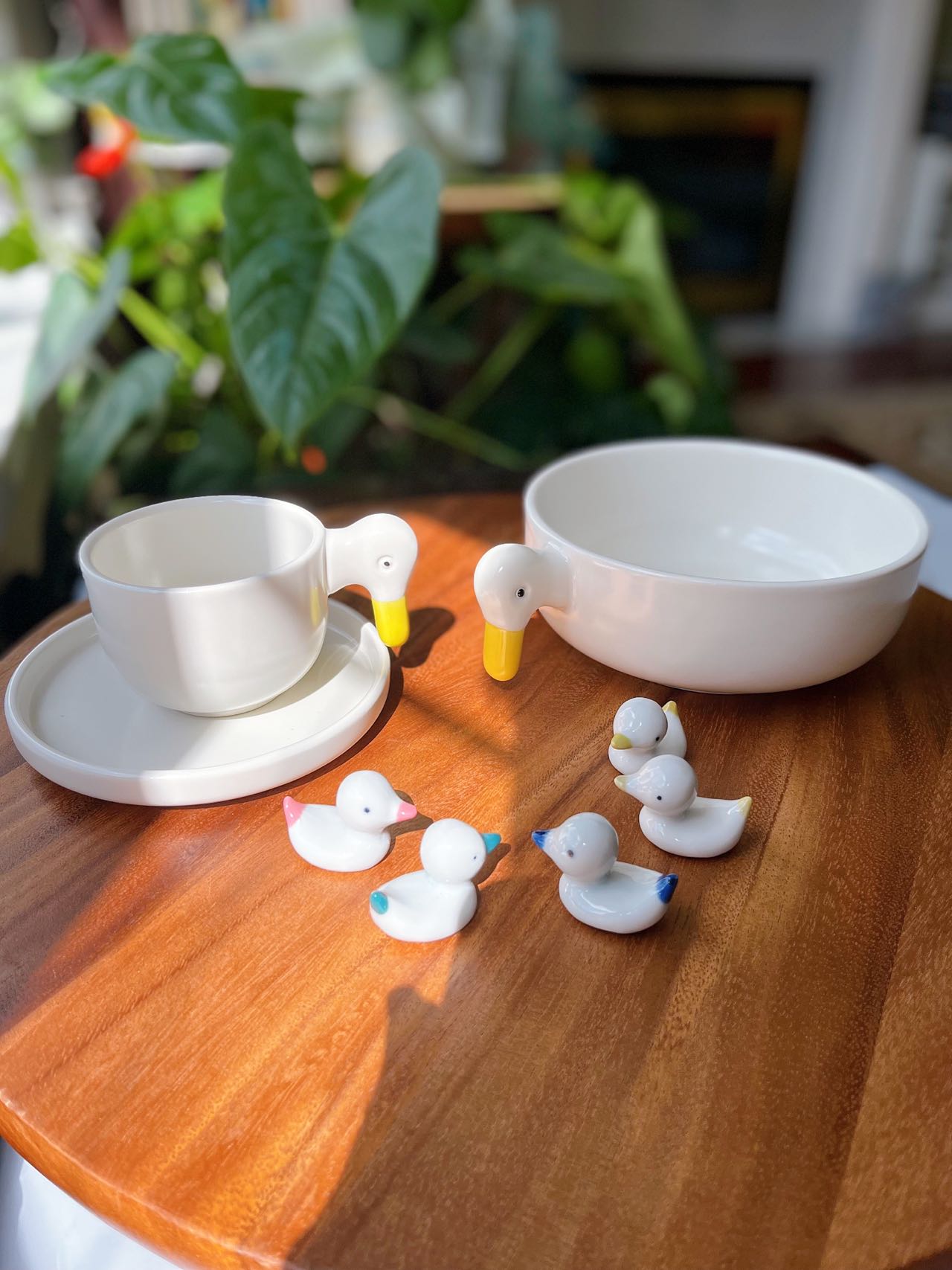 Ceramic Japan's Duck Series