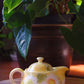 Yuzuriha Flower Pot (Gift Box)