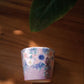 Yuzuriha Teacup (Gift Box)