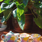 Yuzuriha Flower Pot (Gift Box)