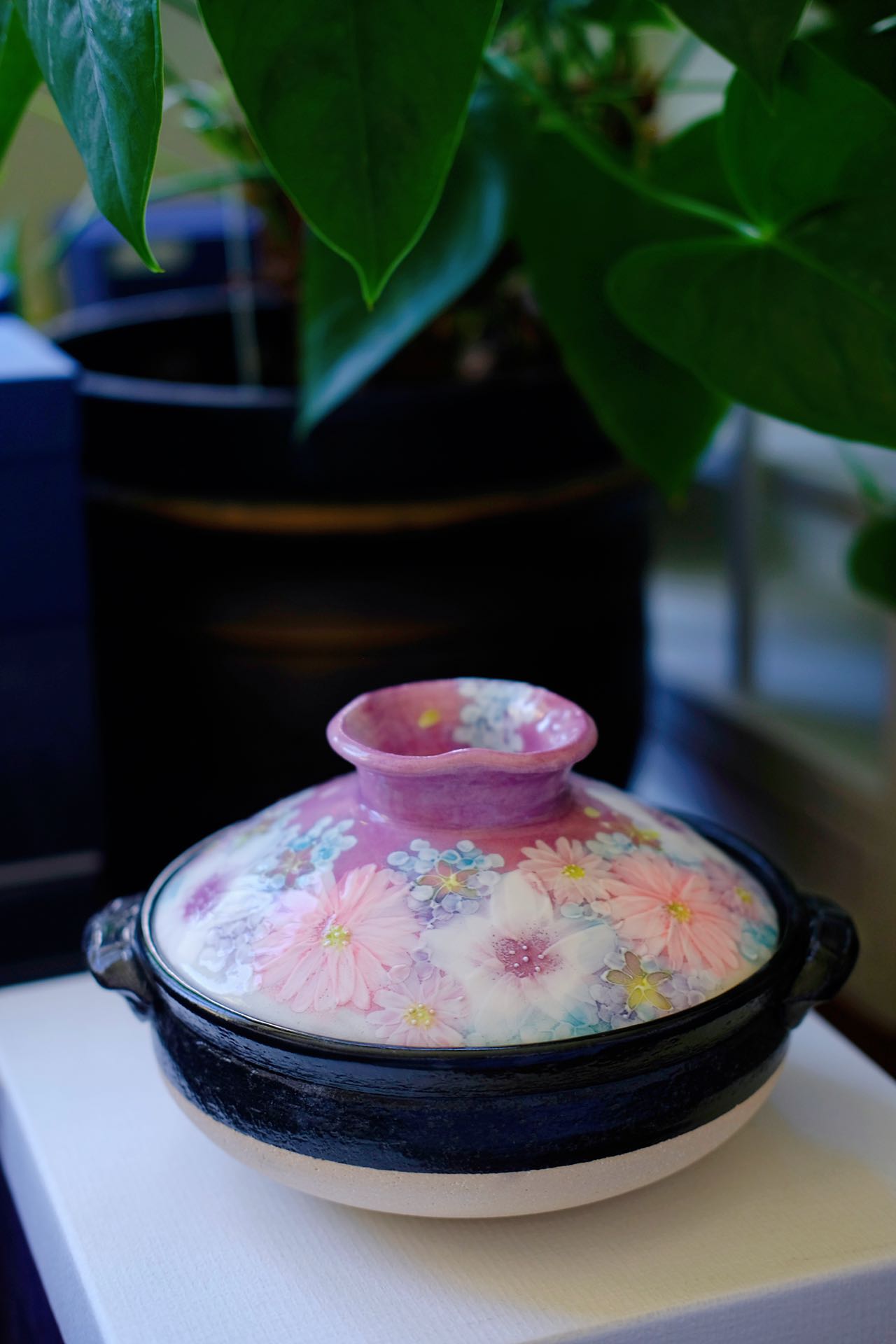 Yuzuriha Series Handmade Pot with Flower -Donabe Size 6