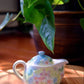 Yuzuriha Flower Pot (Gift Box)