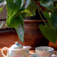 Yuzuriha Flower Coffee Cup Set (Gift box)