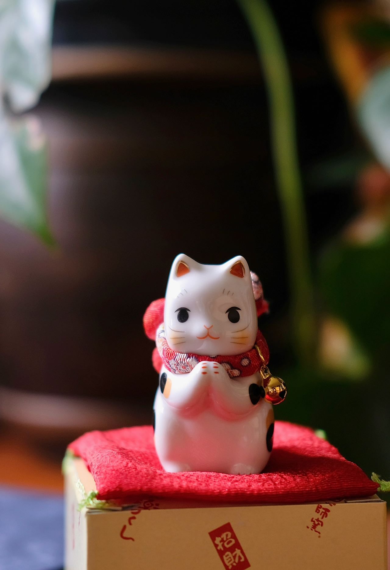 Seto Lucky Ceramic Figurine- Kitten