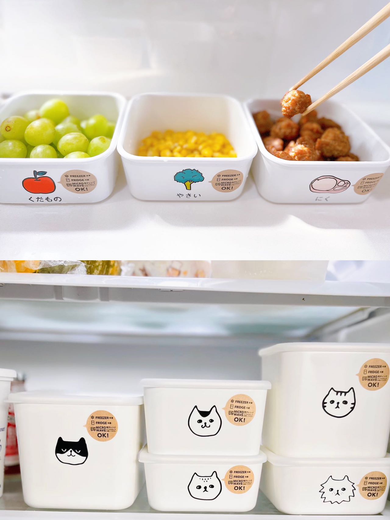 Dog food container clearance cute