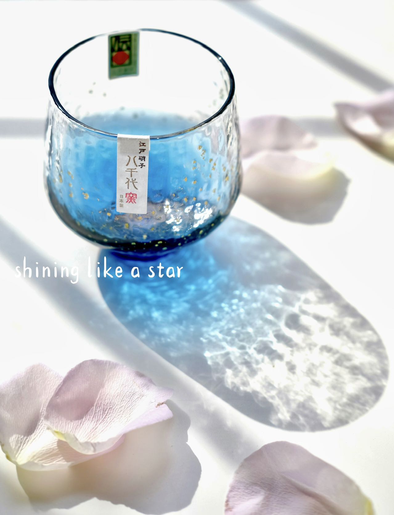 Toyo-Sasaki Starry Sky Cup