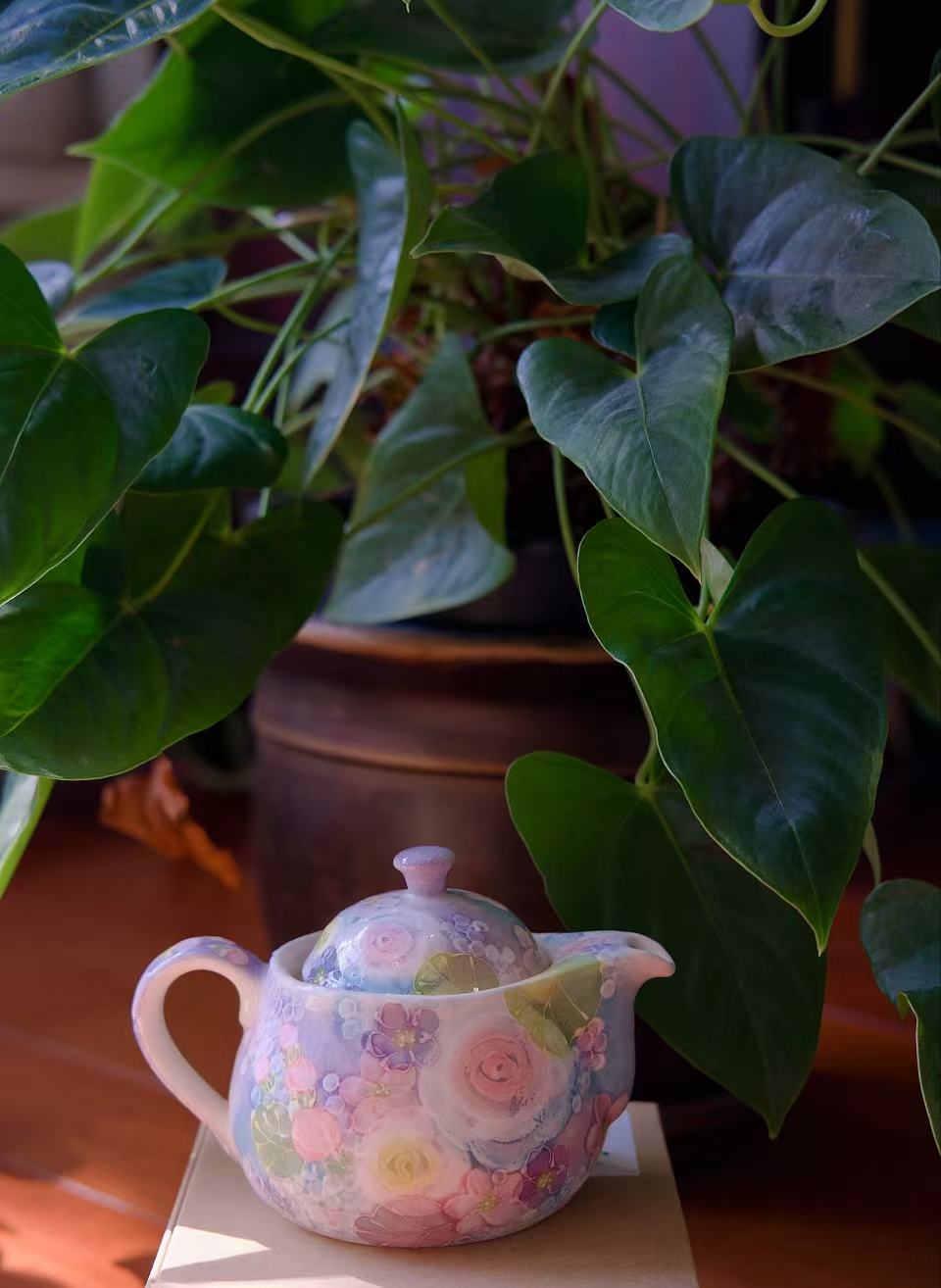 Yuzuriha Flower Pot and Teacups (Gift Box)