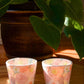 Yuzuriha Flower Pot and Teacups (Gift Box)