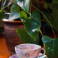 Yuzuriha Flower Coffee Cup Set