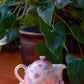 Yuzuriha Flower Pot (Gift Box)