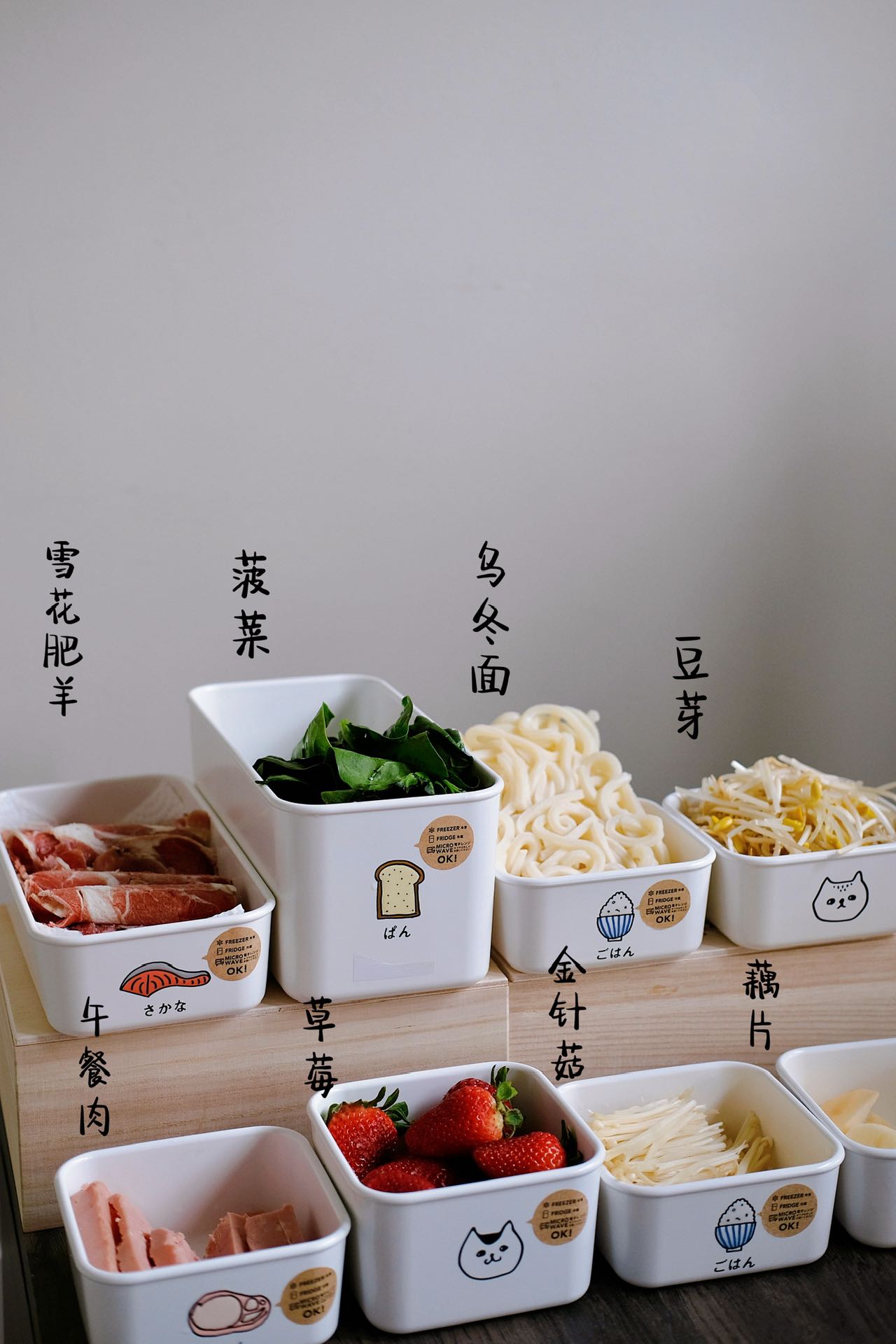 Cute Design Food Container Box