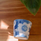 Yuzuriha Flower Pot and Teacups (Gift Box)