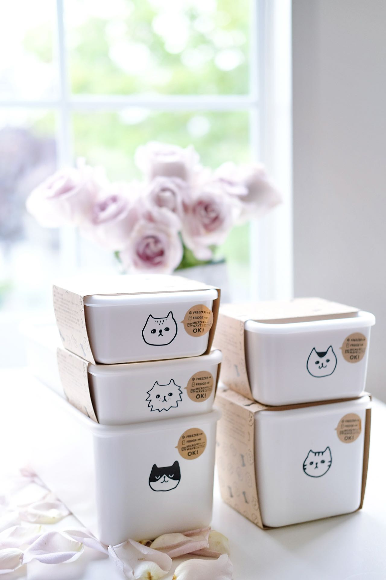 Cute Kitten Design Food Container Box