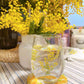 Toyo-Sasaki Mimosa Flower Tumbler Glass Gift Set