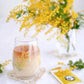 Toyo-Sasaki Mimosa Flower Tumbler Glass Gift Set