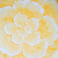 Arita Peony Golden Lemon Plate Gift Box