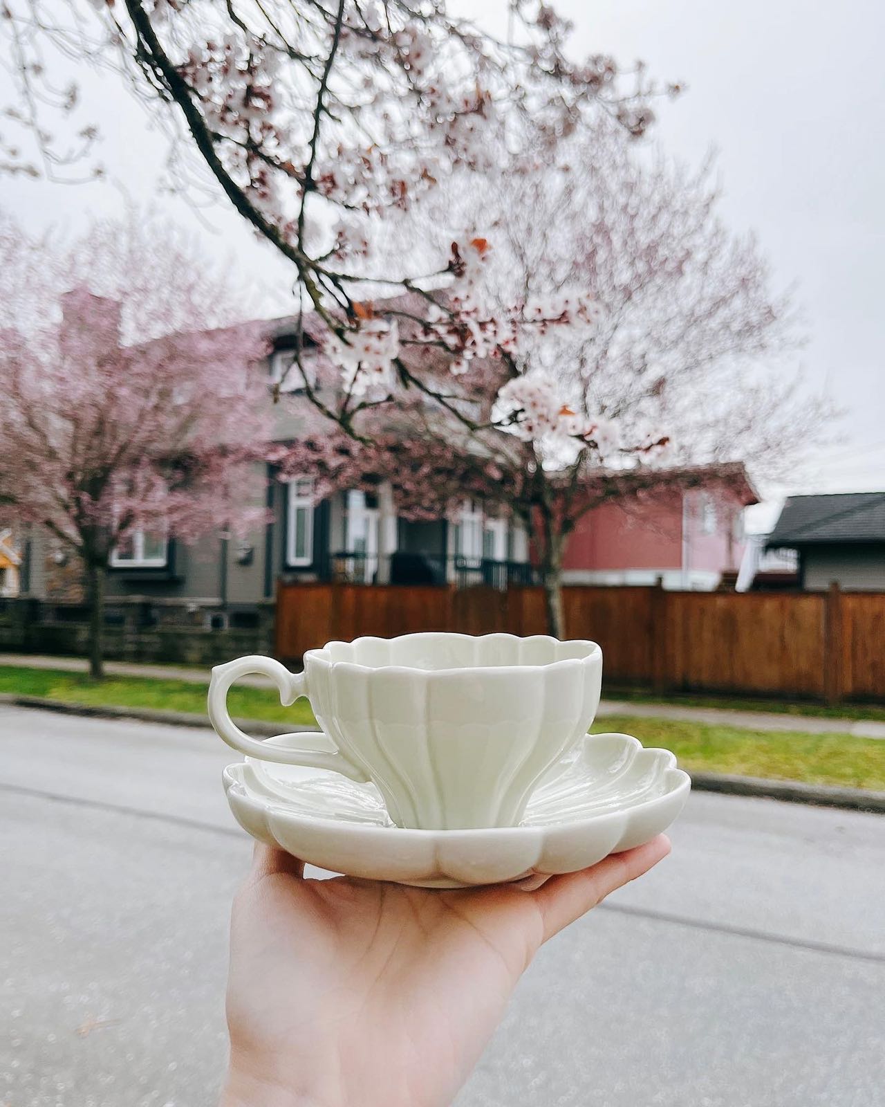 Studio M' Flower Coffee Cup Sets