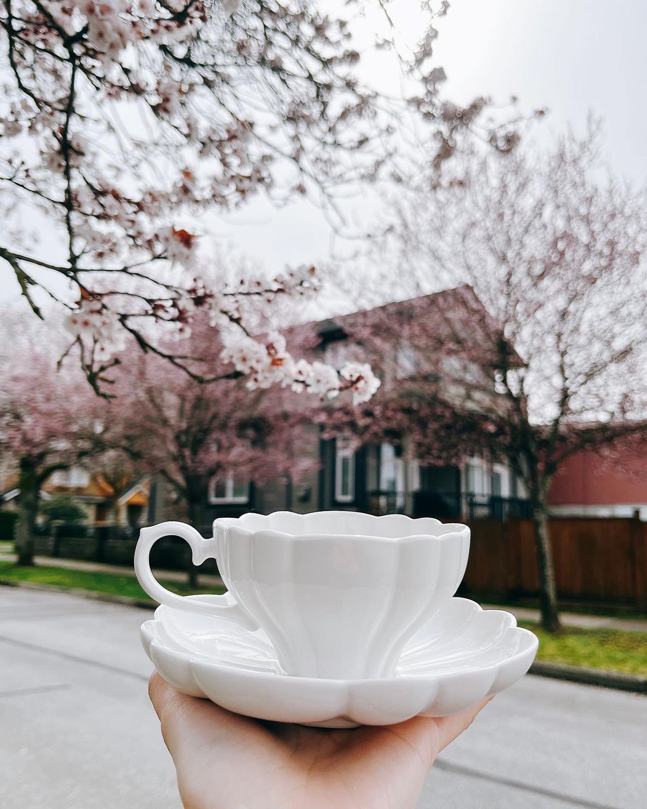 Studio M' Flower Coffee Cup Sets