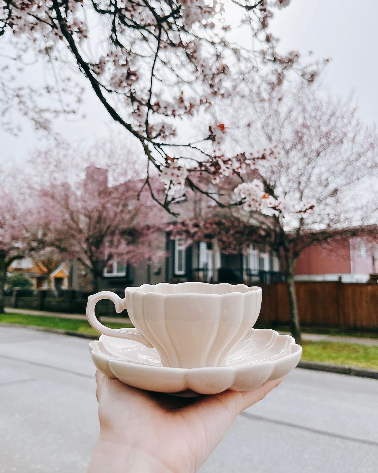 Studio M' Flower Coffee Cup Sets