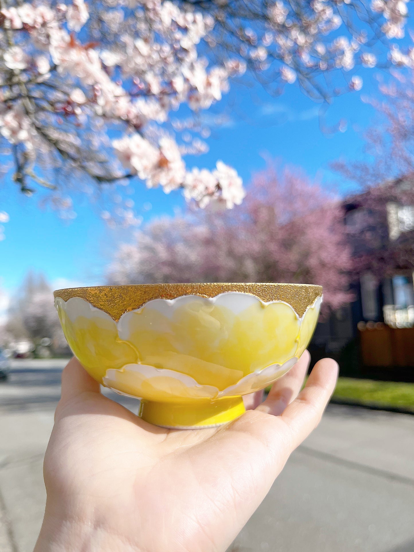 Gold Yellow Arita Bowl