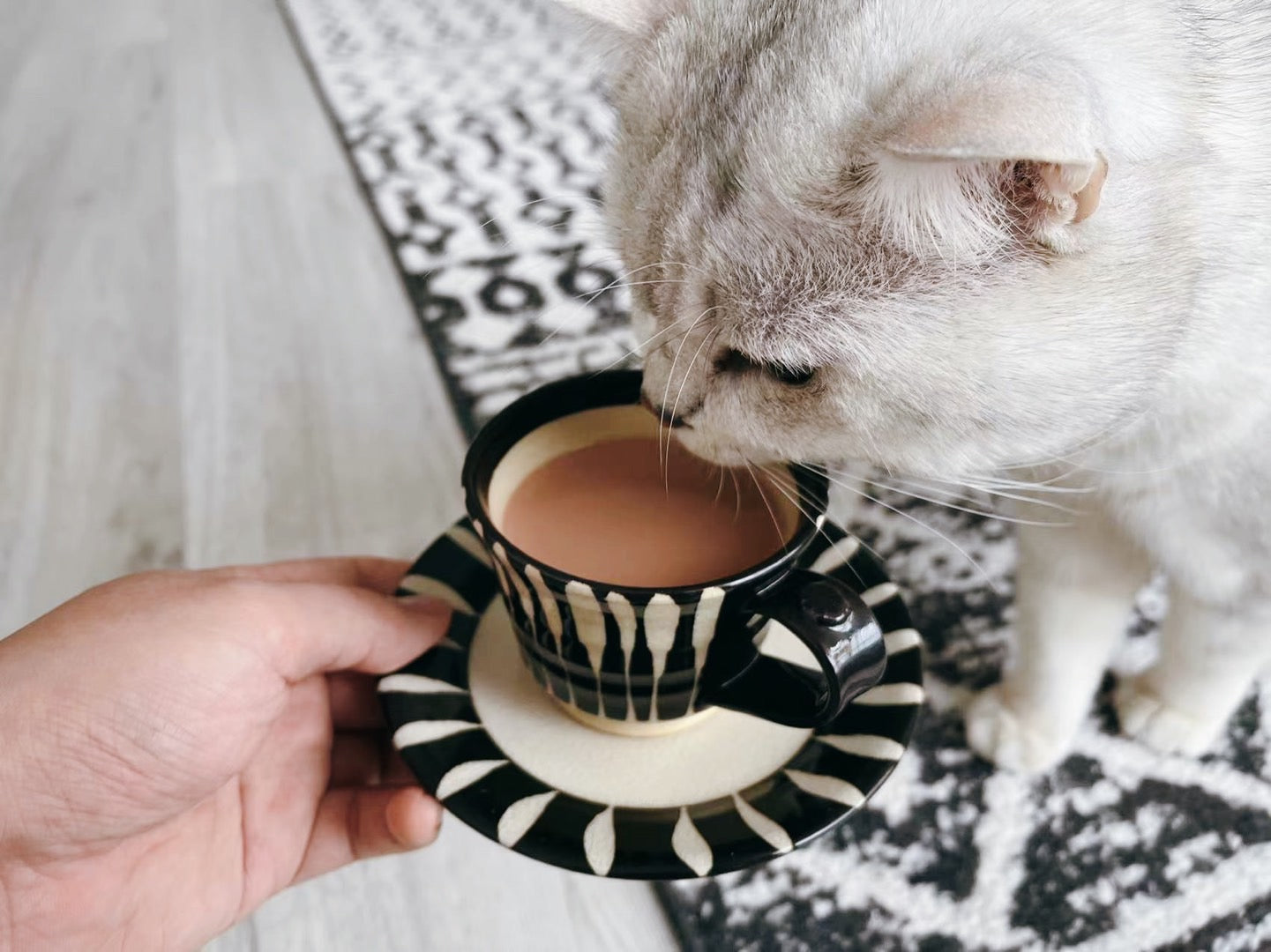 Minoyaki Cup and Saucers